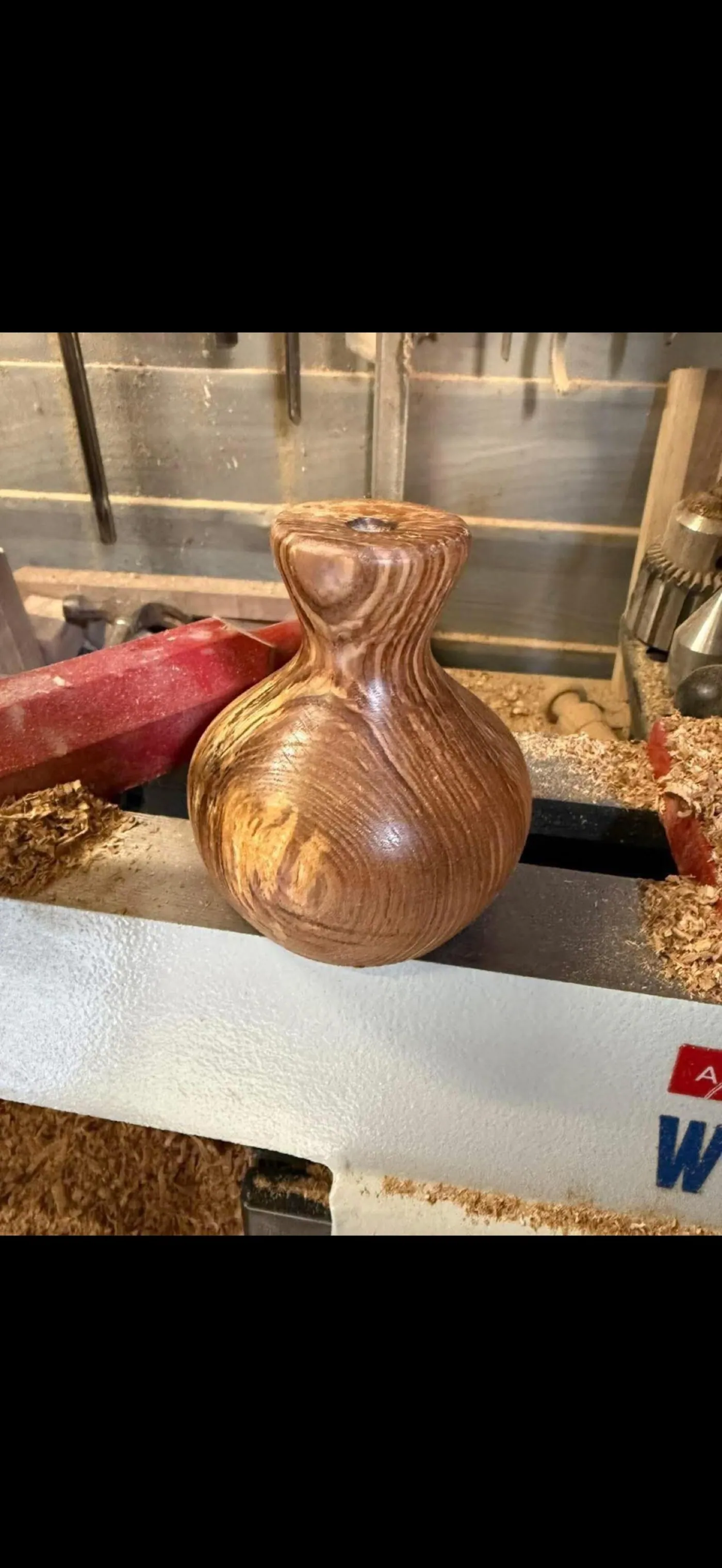 Ash Twig Vase — Storm Agnes Wood
